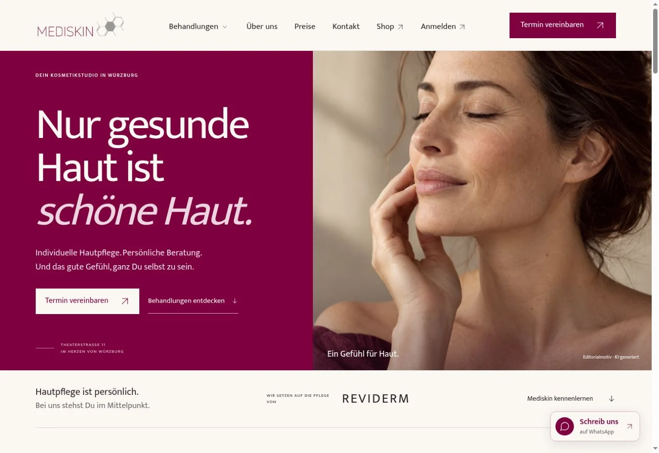 mediskin – Ansicht der Projektwebsite